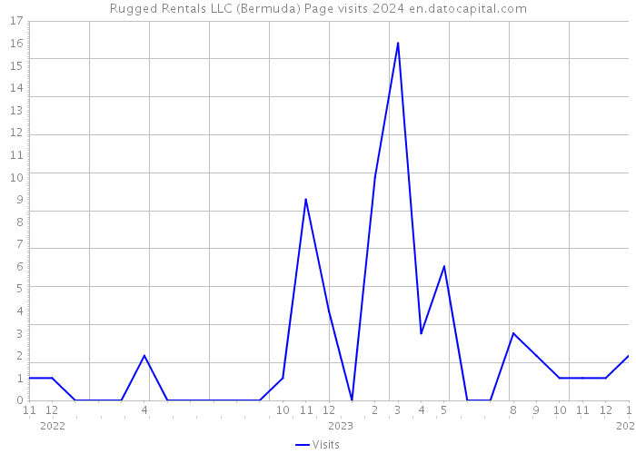 Rugged Rentals LLC (Bermuda) Page visits 2024 