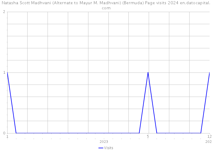 Natasha Scott Madhvani (Alternate to Mayur M. Madhvani) (Bermuda) Page visits 2024 