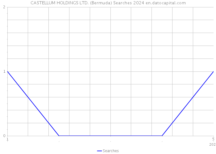 CASTELLUM HOLDINGS LTD. (Bermuda) Searches 2024 