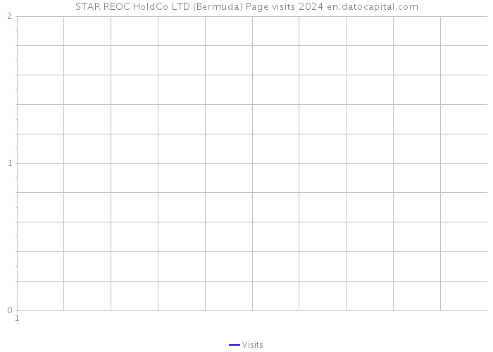 STAR REOC HoldCo LTD (Bermuda) Page visits 2024 