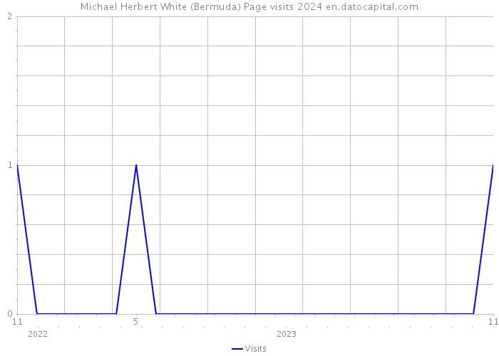Michael Herbert White (Bermuda) Page visits 2024 