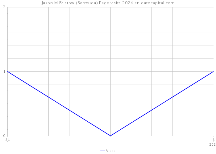 Jason M Bristow (Bermuda) Page visits 2024 