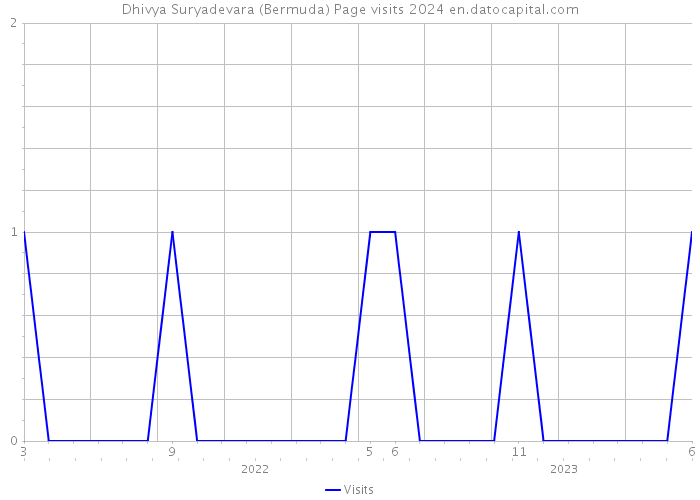 Dhivya Suryadevara (Bermuda) Page visits 2024 