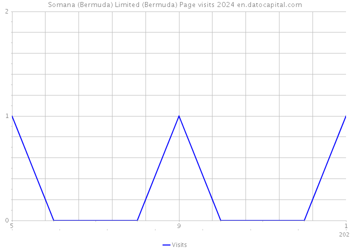 Somana (Bermuda) Limited (Bermuda) Page visits 2024 