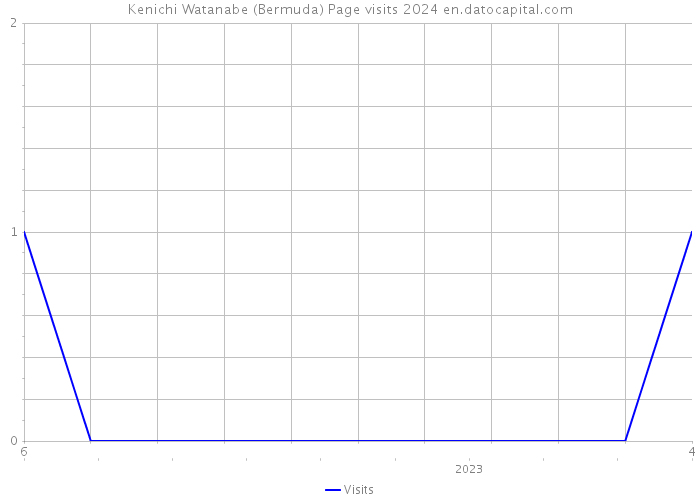 Kenichi Watanabe (Bermuda) Page visits 2024 