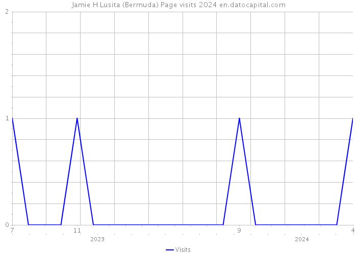 Jamie H Lusita (Bermuda) Page visits 2024 
