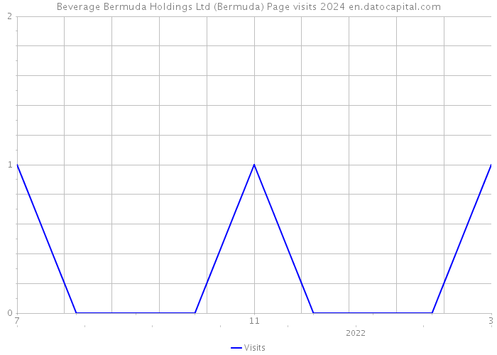 Beverage Bermuda Holdings Ltd (Bermuda) Page visits 2024 