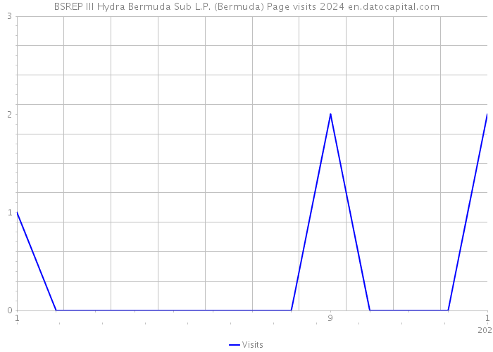 BSREP III Hydra Bermuda Sub L.P. (Bermuda) Page visits 2024 