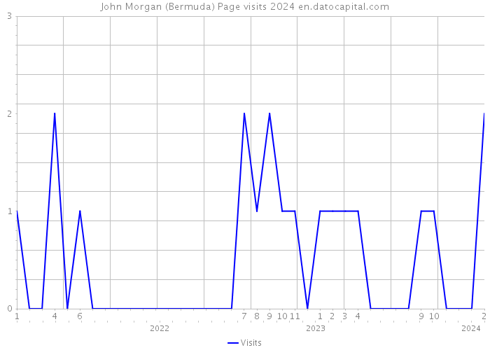 John Morgan (Bermuda) Page visits 2024 
