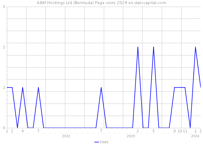 A&M Holdings Ltd (Bermuda) Page visits 2024 