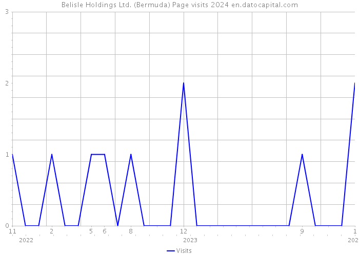 Belisle Holdings Ltd. (Bermuda) Page visits 2024 