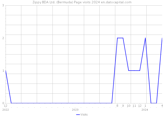 Zippy BDA Ltd. (Bermuda) Page visits 2024 