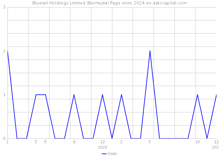 Bluetail Holdings Limited (Bermuda) Page visits 2024 
