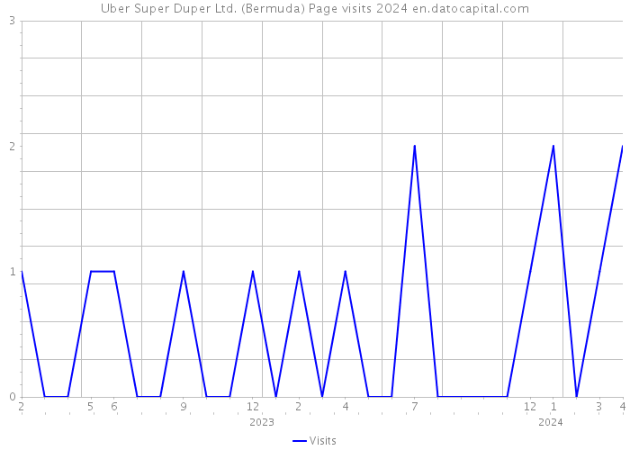 Uber Super Duper Ltd. (Bermuda) Page visits 2024 