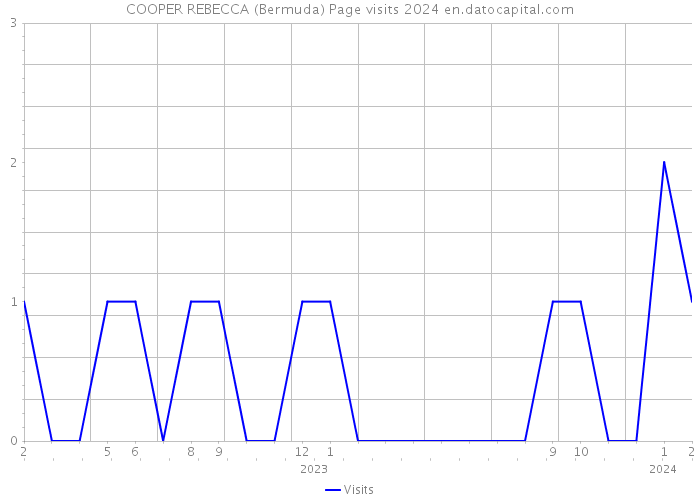 COOPER REBECCA (Bermuda) Page visits 2024 