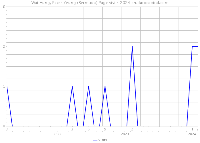 Wai Hung, Peter Yeung (Bermuda) Page visits 2024 