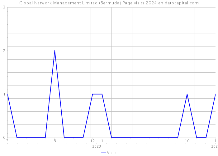 Global Network Management Limited (Bermuda) Page visits 2024 