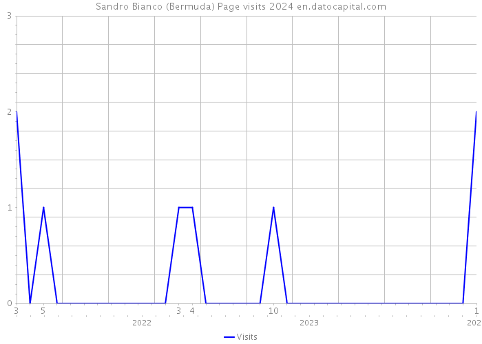 Sandro Bianco (Bermuda) Page visits 2024 