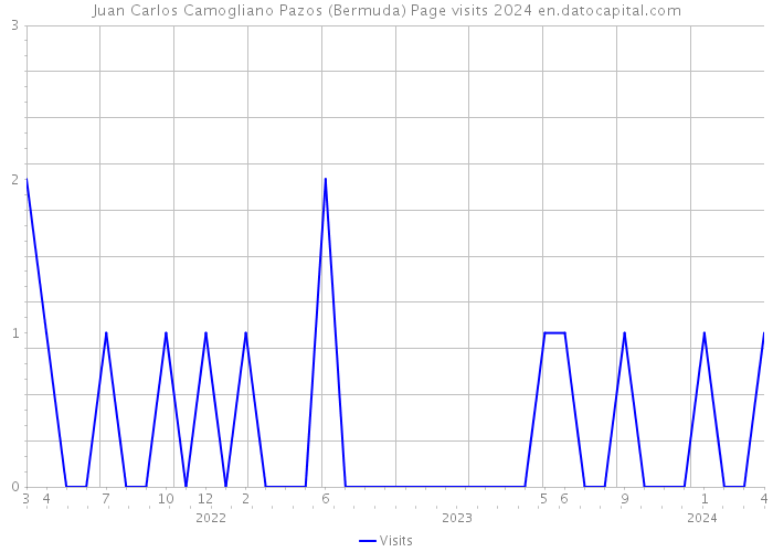 Juan Carlos Camogliano Pazos (Bermuda) Page visits 2024 