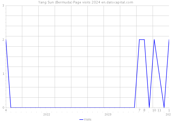 Yang Sun (Bermuda) Page visits 2024 