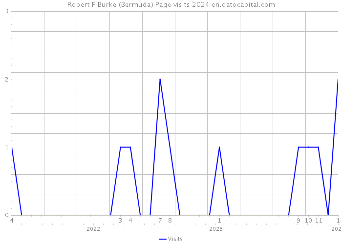 Robert P Burke (Bermuda) Page visits 2024 