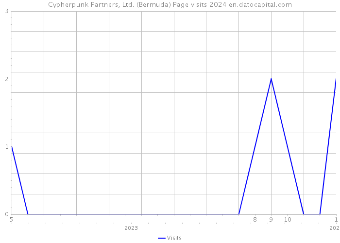 Cypherpunk Partners, Ltd. (Bermuda) Page visits 2024 