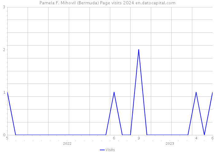 Pamela F. Mihovil (Bermuda) Page visits 2024 