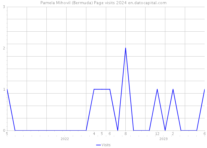 Pamela Mihovil (Bermuda) Page visits 2024 