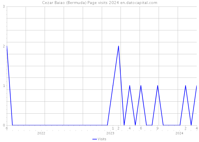 Cezar Baiao (Bermuda) Page visits 2024 