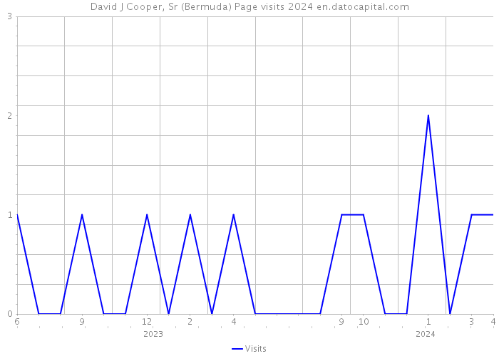 David J Cooper, Sr (Bermuda) Page visits 2024 