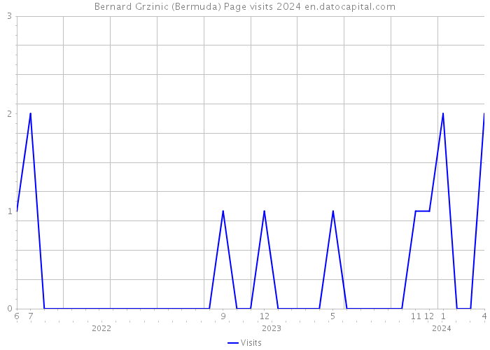 Bernard Grzinic (Bermuda) Page visits 2024 