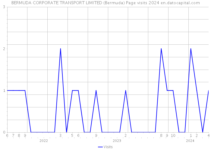 BERMUDA CORPORATE TRANSPORT LIMITED (Bermuda) Page visits 2024 
