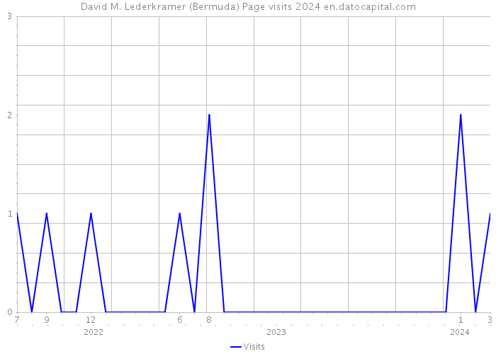 David M. Lederkramer (Bermuda) Page visits 2024 