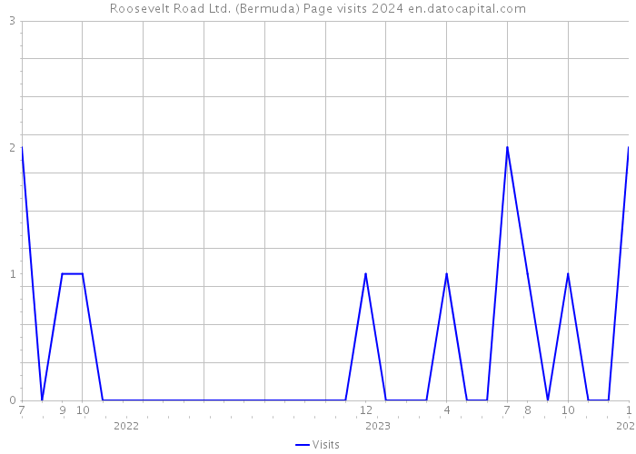 Roosevelt Road Ltd. (Bermuda) Page visits 2024 