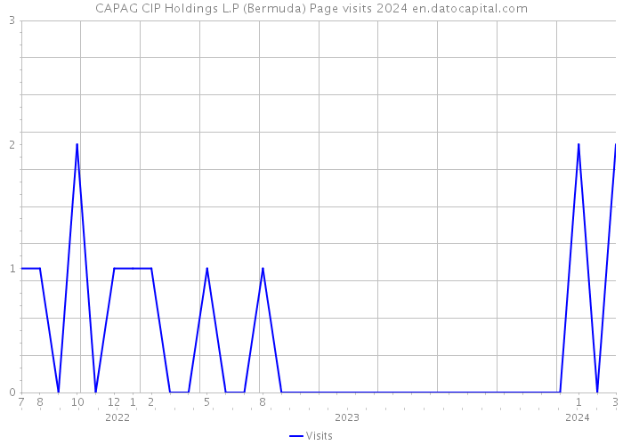 CAPAG CIP Holdings L.P (Bermuda) Page visits 2024 