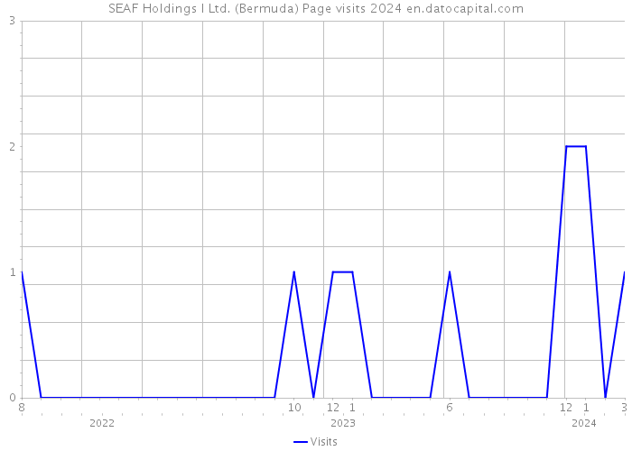 SEAF Holdings I Ltd. (Bermuda) Page visits 2024 