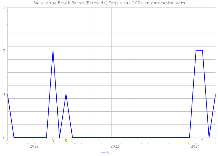 Sally-Anne Brook Baron (Bermuda) Page visits 2024 