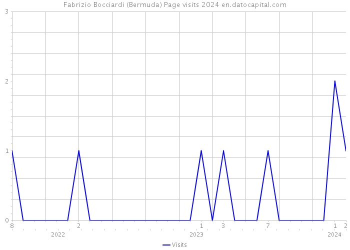 Fabrizio Bocciardi (Bermuda) Page visits 2024 