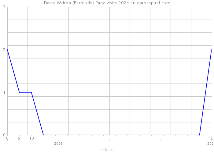 David Walton (Bermuda) Page visits 2024 