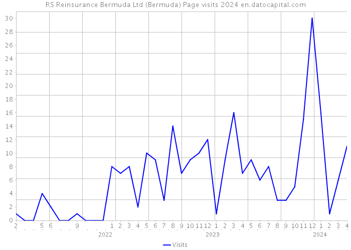 RS Reinsurance Bermuda Ltd (Bermuda) Page visits 2024 