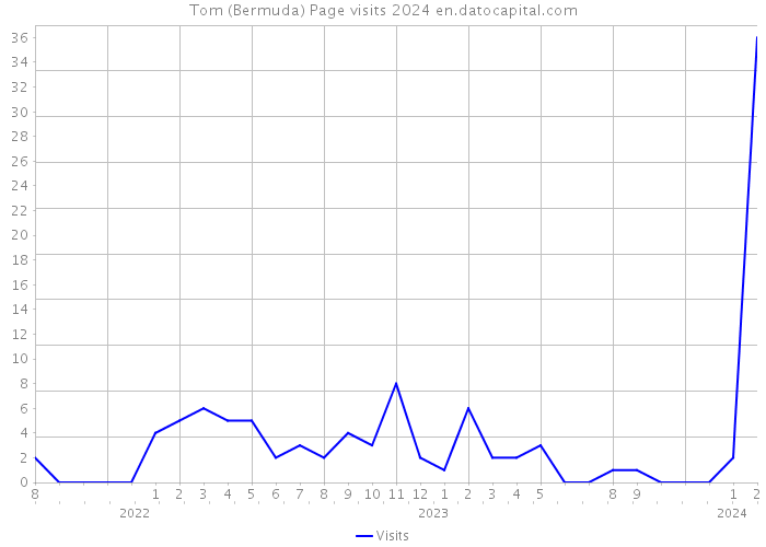 Tom (Bermuda) Page visits 2024 