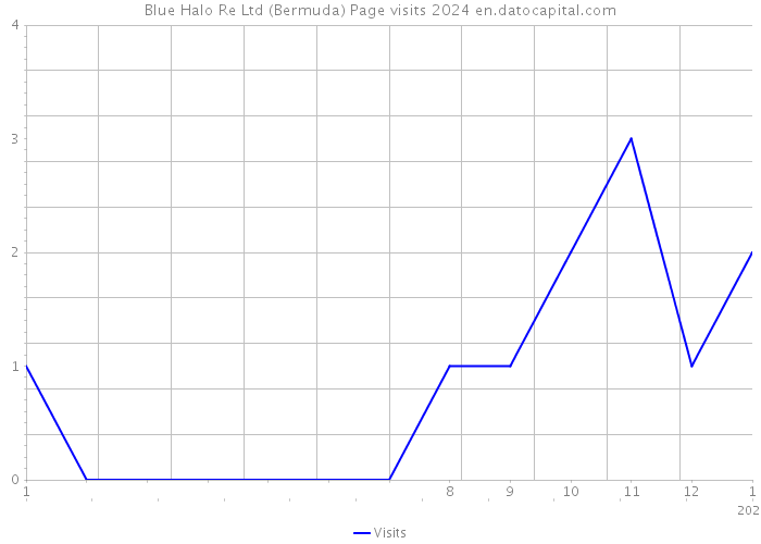 Blue Halo Re Ltd (Bermuda) Page visits 2024 