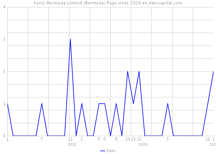 Kenzi Bermuda Limited (Bermuda) Page visits 2024 
