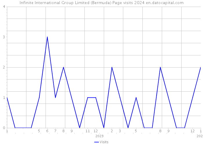 Infinite International Group Limited (Bermuda) Page visits 2024 