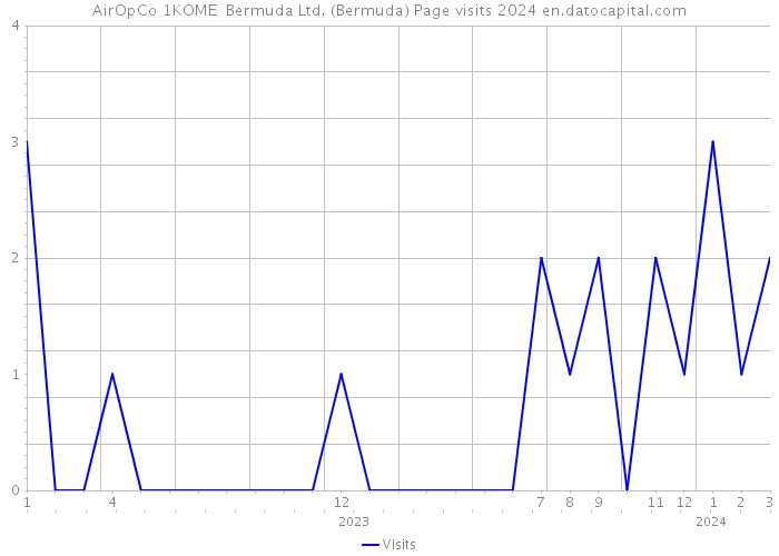 AirOpCo 1KOME Bermuda Ltd. (Bermuda) Page visits 2024 