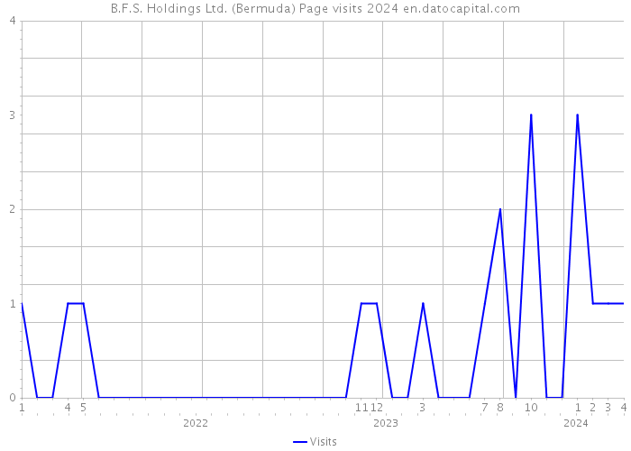 B.F.S. Holdings Ltd. (Bermuda) Page visits 2024 