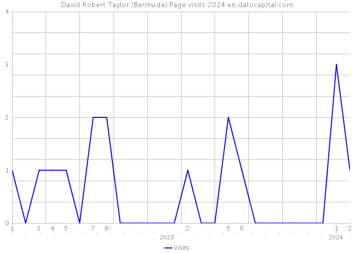 David Robert Taylor (Bermuda) Page visits 2024 