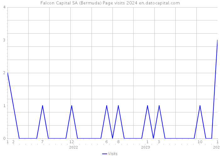 Falcon Capital SA (Bermuda) Page visits 2024 