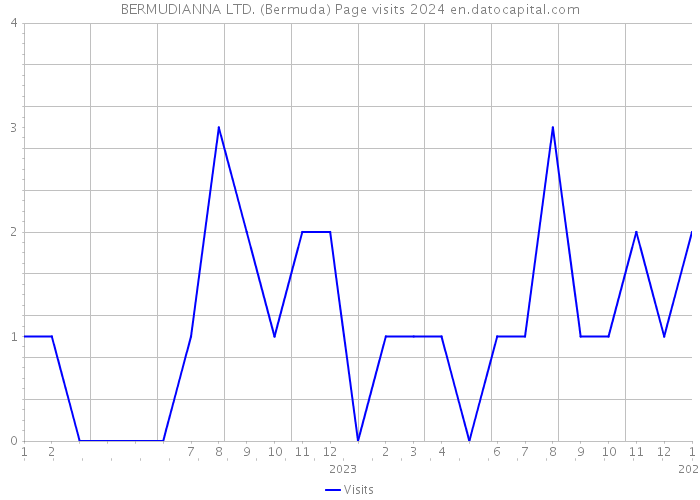 BERMUDIANNA LTD. (Bermuda) Page visits 2024 