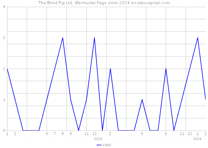 The Blind Pig Ltd. (Bermuda) Page visits 2024 